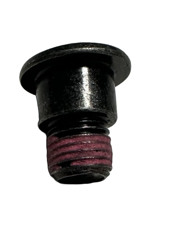 Tesla Model 3, Y Front Seat Belt Upper D-Ring Patch Bolt, 2017-2026