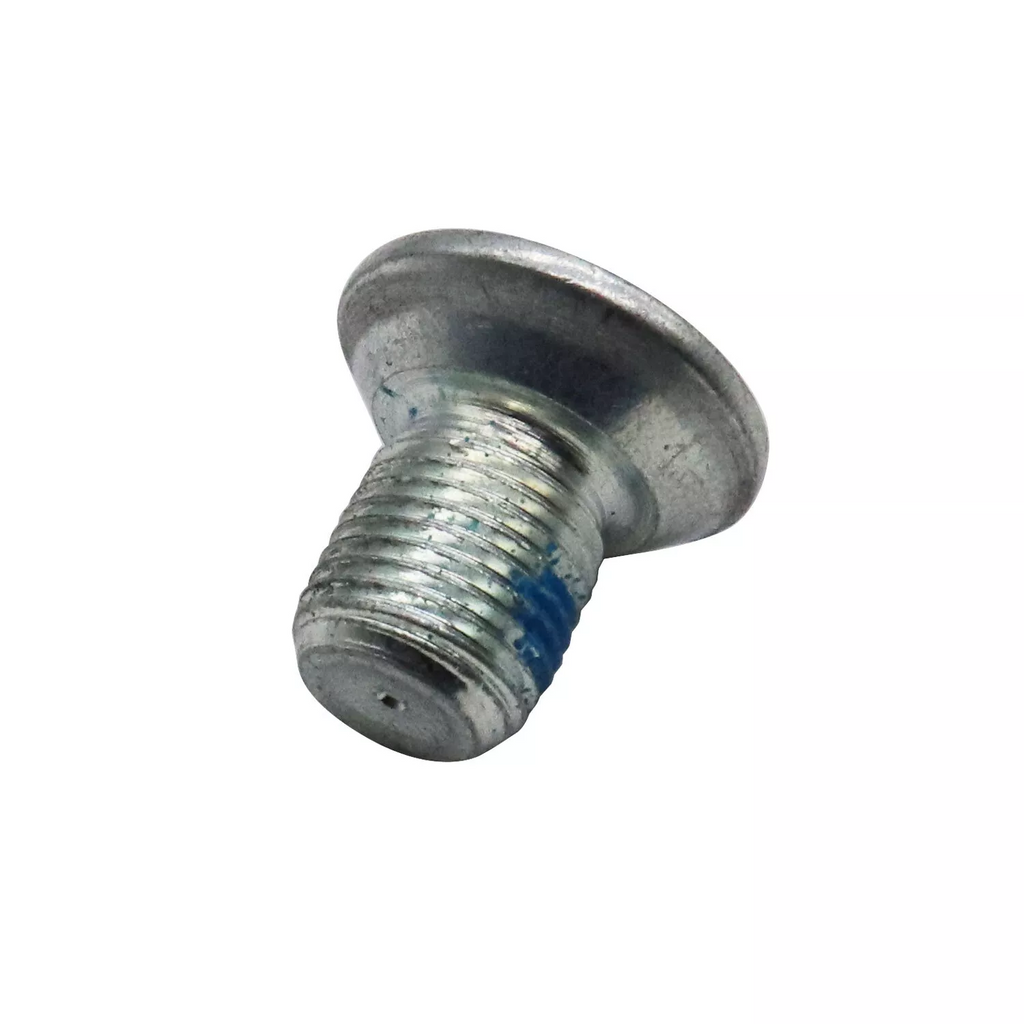 Tesla Model 3, Y, S, X, Cybertruck Steering Wheel Bolt, 2012-2025