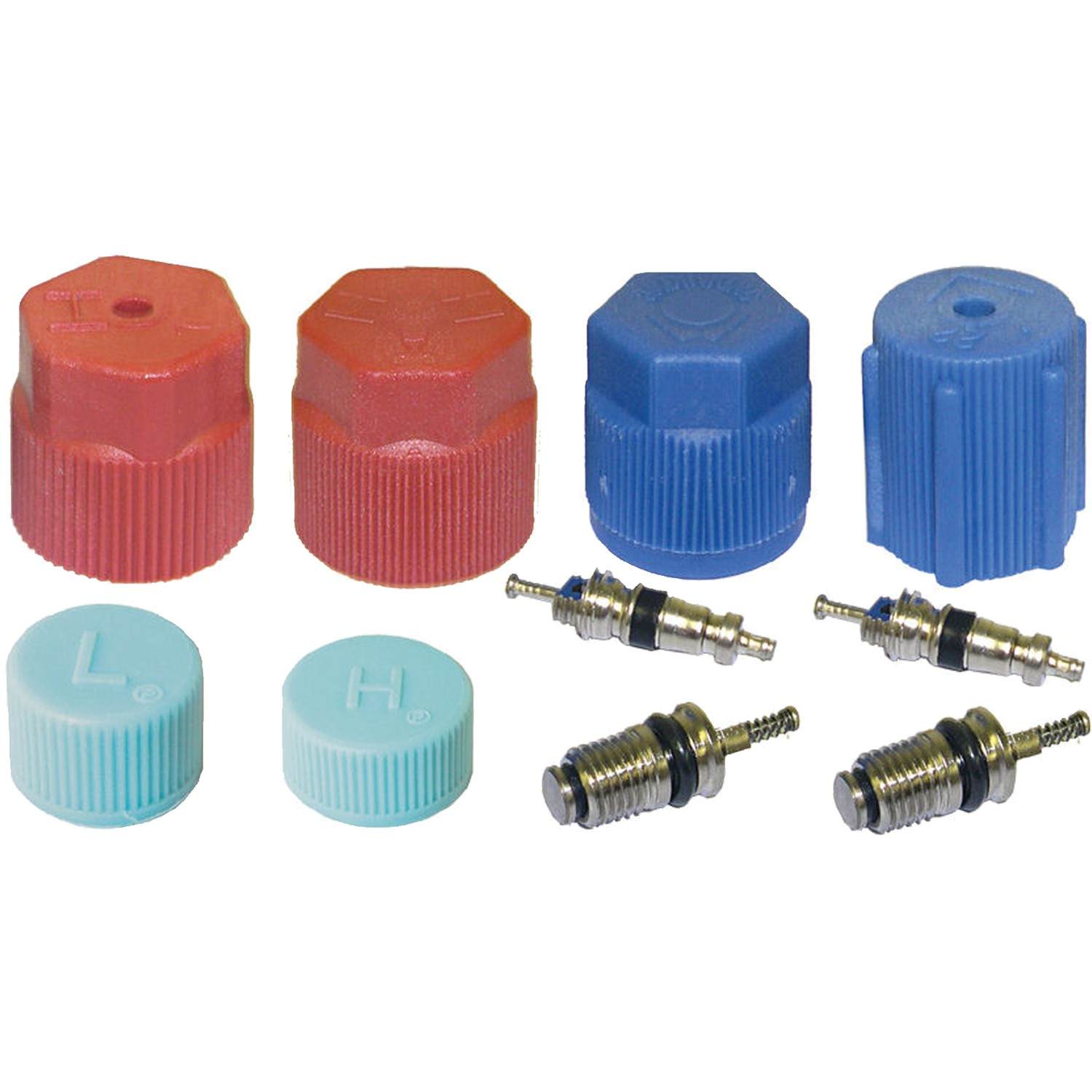 Nissan Leaf A/C System Valve Core and Cap Kit, 2011-2012