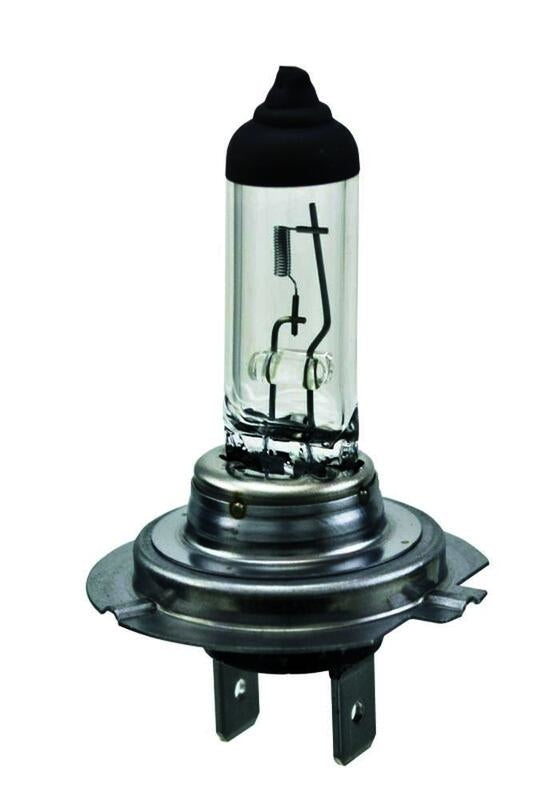 BMW I3 Low Beam Headlight Bulb, 2014-2018