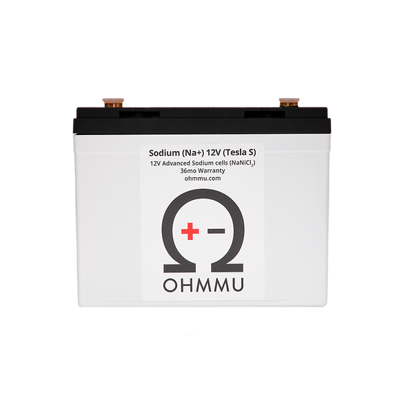 Tesla Model S 12 Volt Sodium Battery, 2012-2021