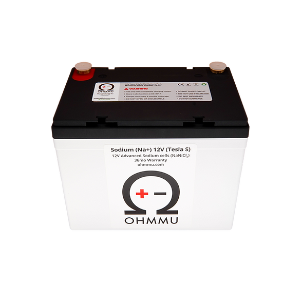 Tesla Model S 12 Volt Sodium Battery, 2012-2021