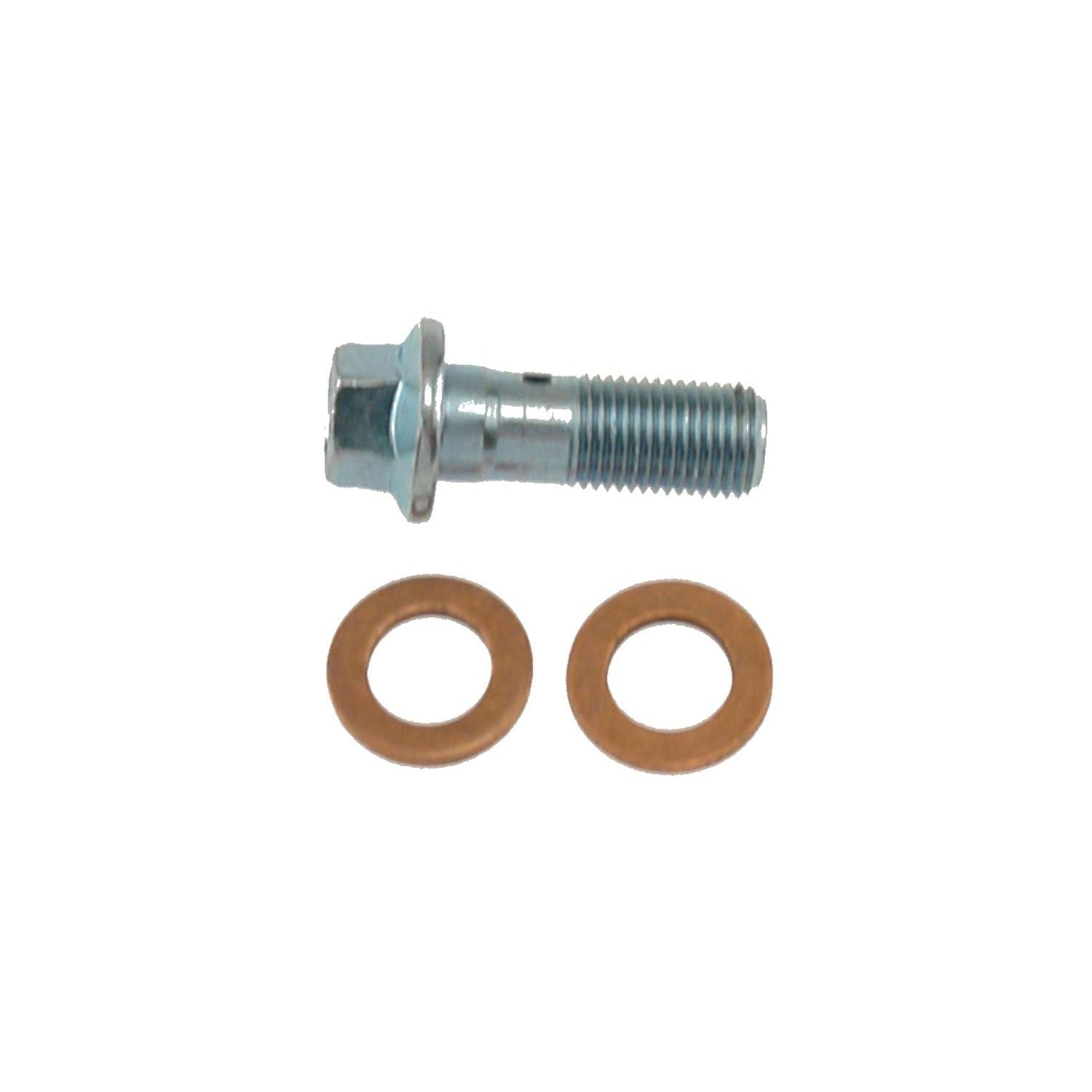 Chevy Volt Rear Brake Hydraulic Banjo Bolt, 2015-2019