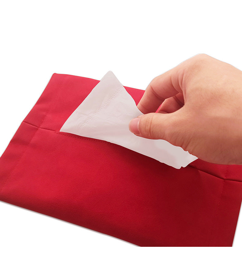 Tesla Model 3, Y Hanging Hidden Tissue Box Holder, Behind Center Screen