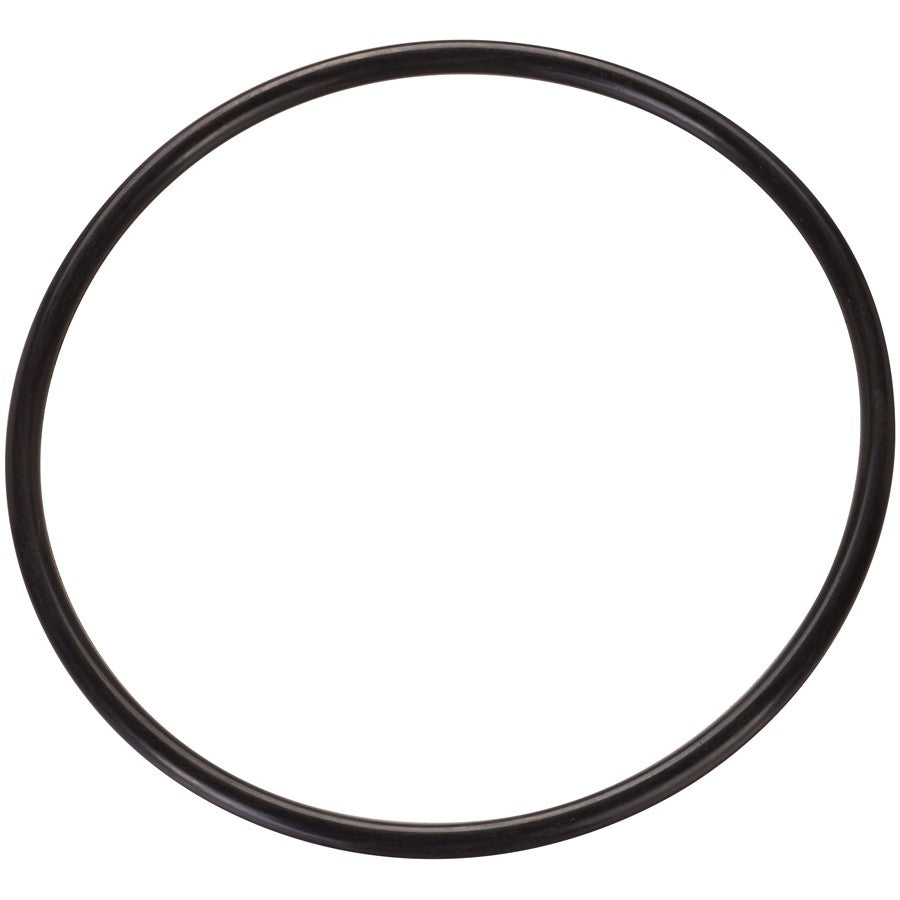 BMW I3 REx Fuel Pump Tank Seal, 2014-2019