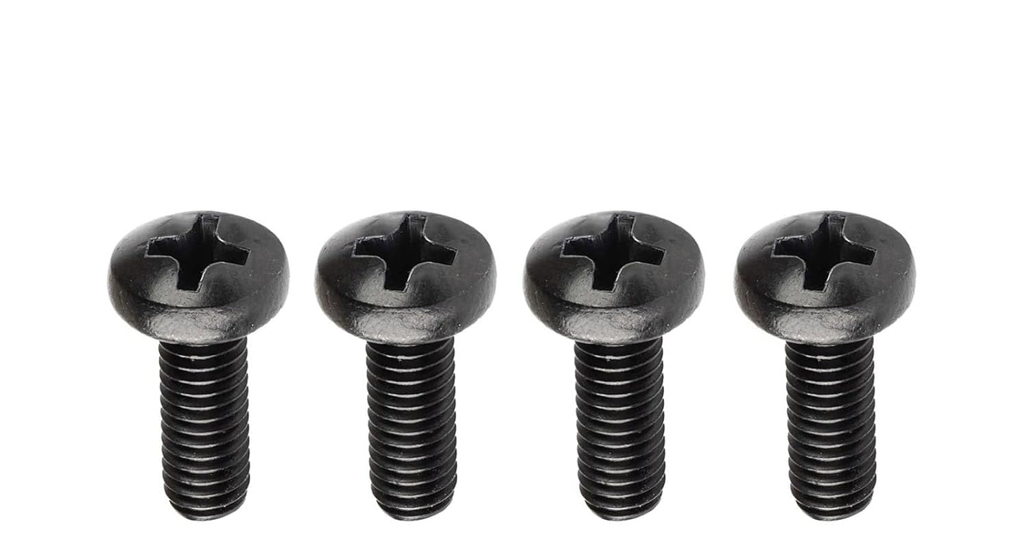 Nissan Leaf Rear License Plate Screws, Stainless Steel, for Rear License Plate Frame, Set of 4