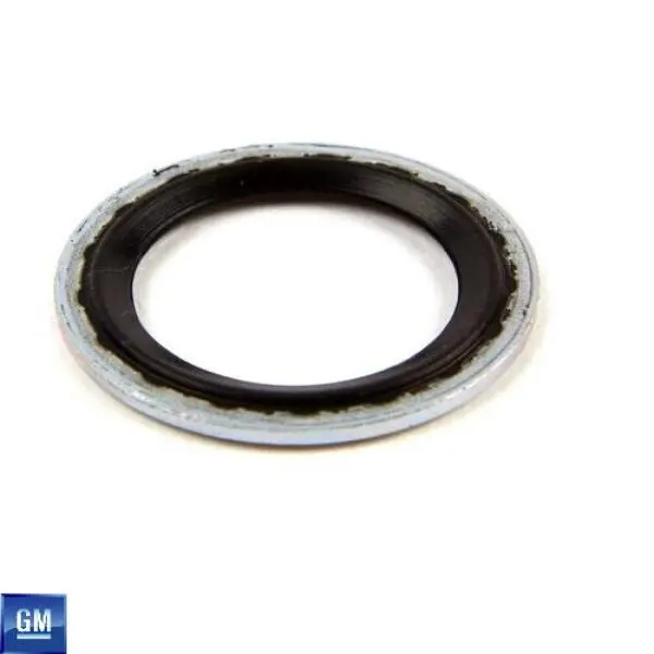Chevy Bolt EV A/C Compressor Hose Seal, 2017-2019