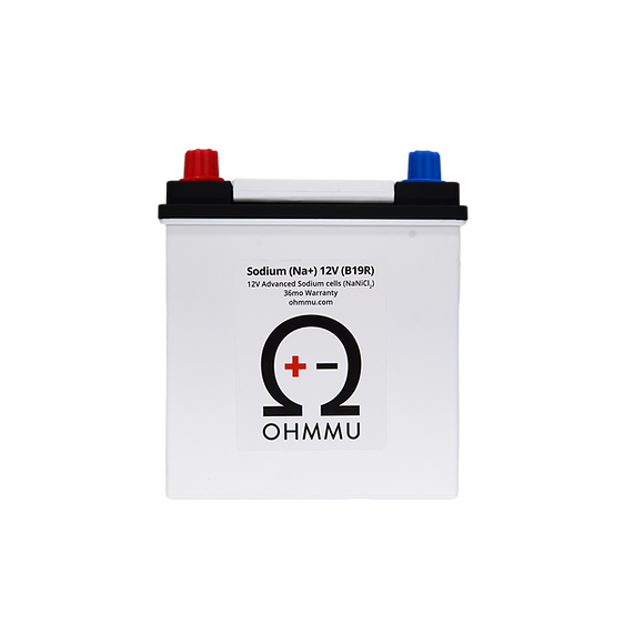 Tesla Model X 12 Volt Sodium Battery, 2016-2021