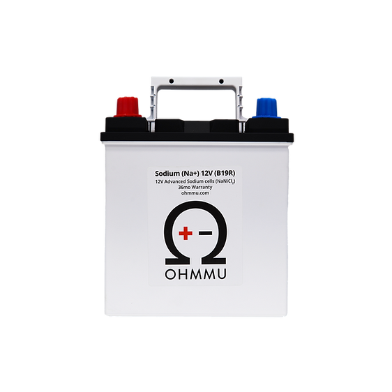 Tesla Model X 12 Volt Sodium Battery, 2016-2021