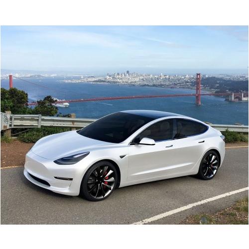 Tesla Model 3 BLOX Racing Lowering Springs, Long Range RWD, 2017-2021