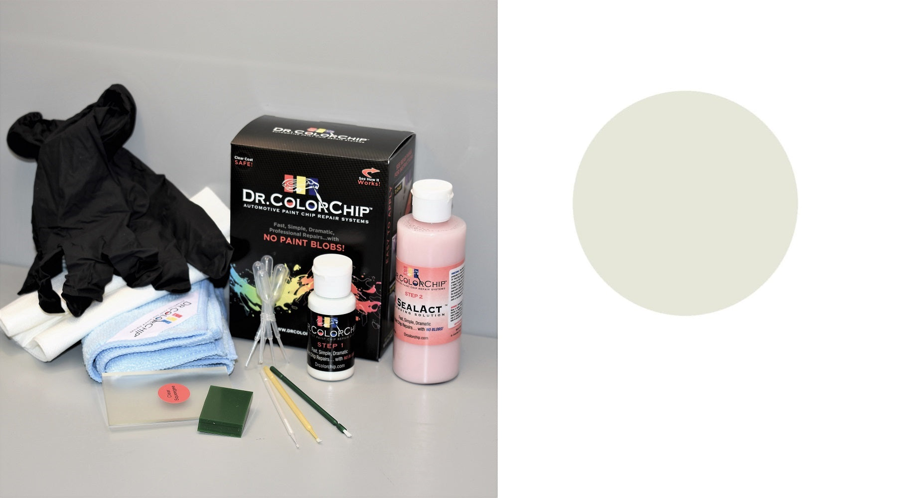 2017 Chevy Bolt EV Exterior Touch Up Paint Kit, Dr Color Chip, Squirt 'n Squeegee PLUS