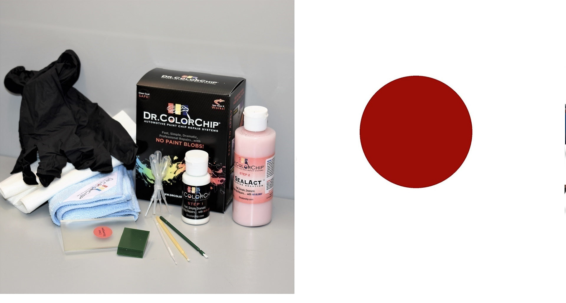 Tesla Model 3 Exterior Touch Up Paint Kit, Dr Color Chip, Squirt 'n Squeegee PLUS, 2017-2025