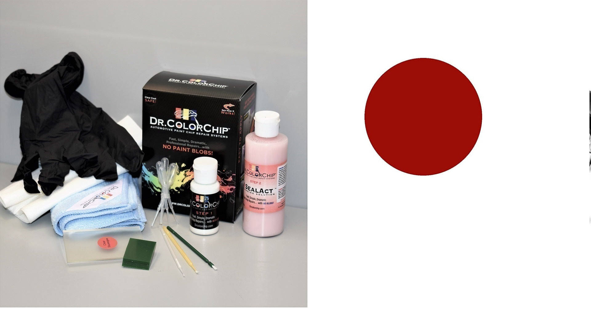 Tesla Model X Exterior Touch Up Paint Kit, Dr Color Chip, Squirt 'n Squeegee PLUS, 2016-2020