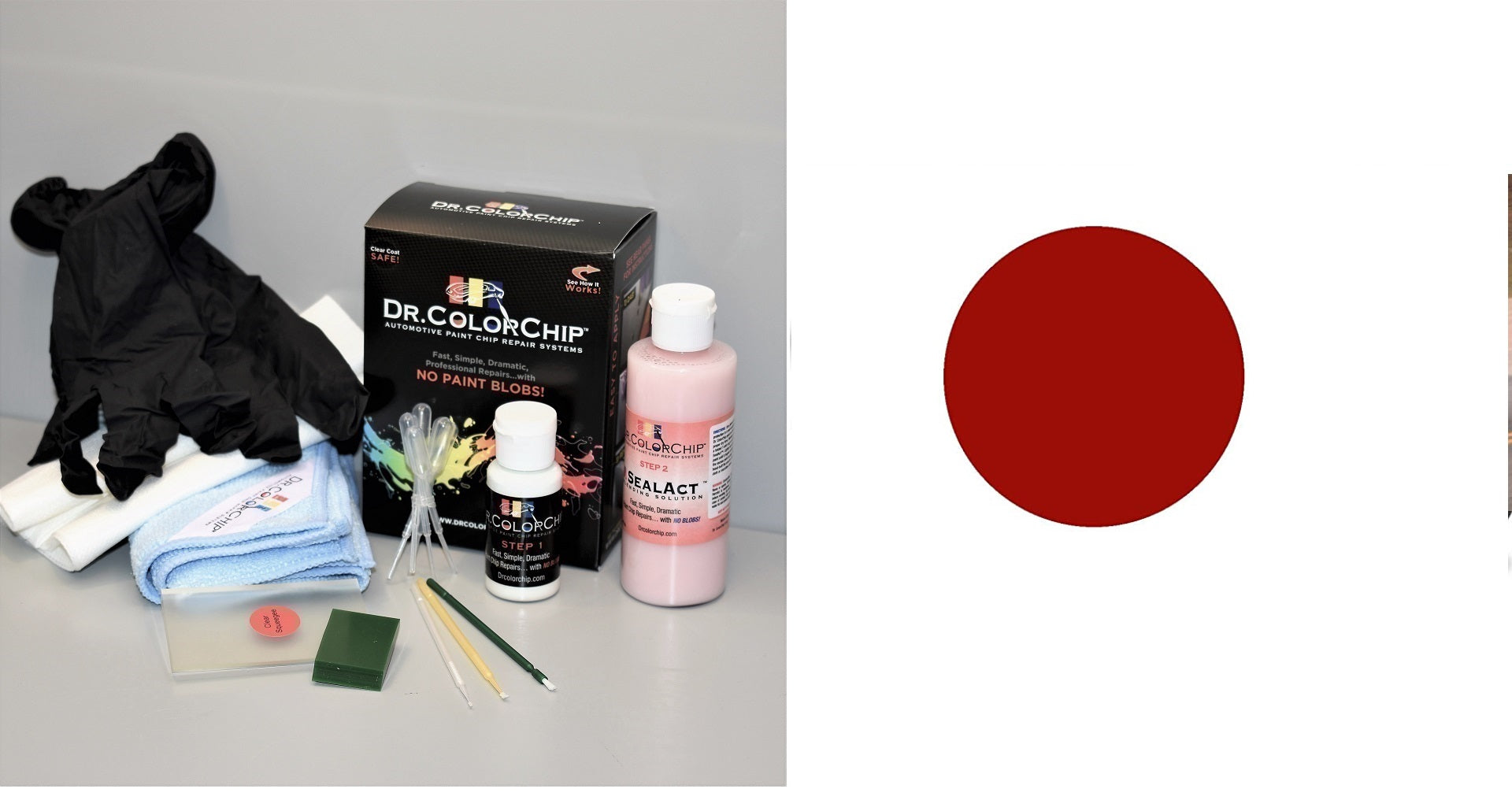 Tesla Model S Exterior Touch Up Paint Kit, Dr Color Chip, Squirt 'n Squeegee PLUS, 2012-2025