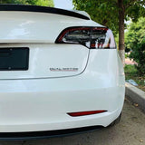 Tesla Model S, 3, X, Y, Chrome ABS Dual Motor Decal, 3D ABS Rear Trunk Emblem