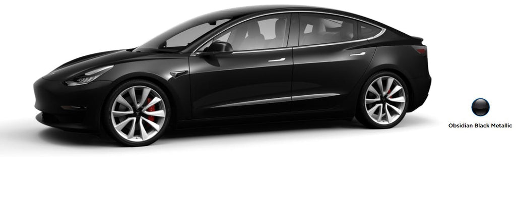 Tesla Model 3 Exterior Touch Up Paint Kit, Dr Color Chip, Squirt 'n Squeegee PLUS, 2017-2025