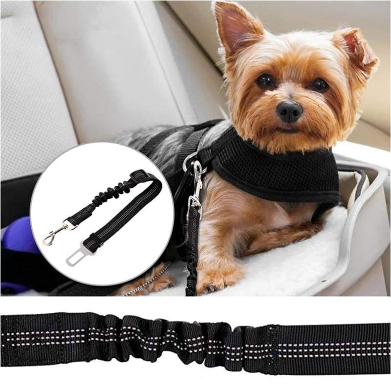 Chevy Volt Stretch Seat Belt Strap Dog Car Leash, Black, 2011-2019