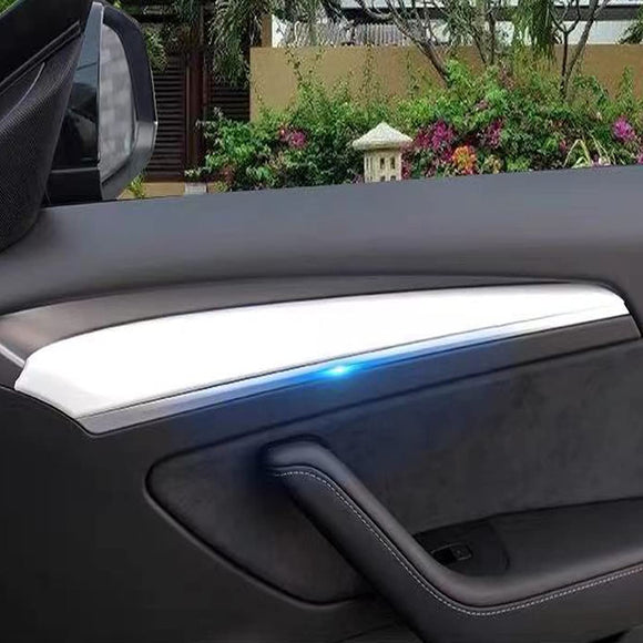 Tesla Model 3, Y, Door Panel Molding Trim, Transparent Protective Film Clear, 2021-22