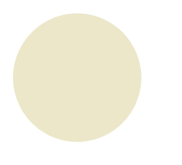 2016 Fiat 500 Exterior Touch Up Paint Kit, Dr Color Chip, Squirt 'n Squeegee PLUS