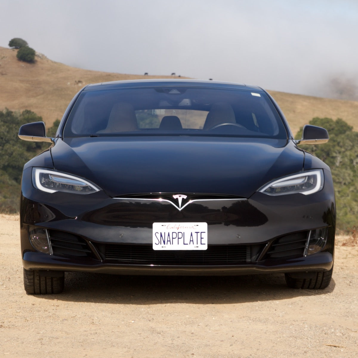 Tesla Model S SNAPPLATE Front License Plate Mount, Removable, 2016-2021