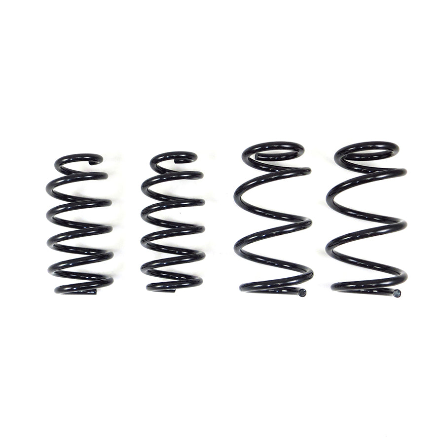 Tesla Model 3 AWD RS-R Ti2000 Down Suspension Lowering Springs, 2017-2023