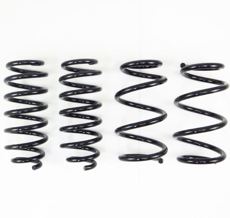 Tesla Model 3 RS-R Down Suspension Titanium Springs, 2017-2022